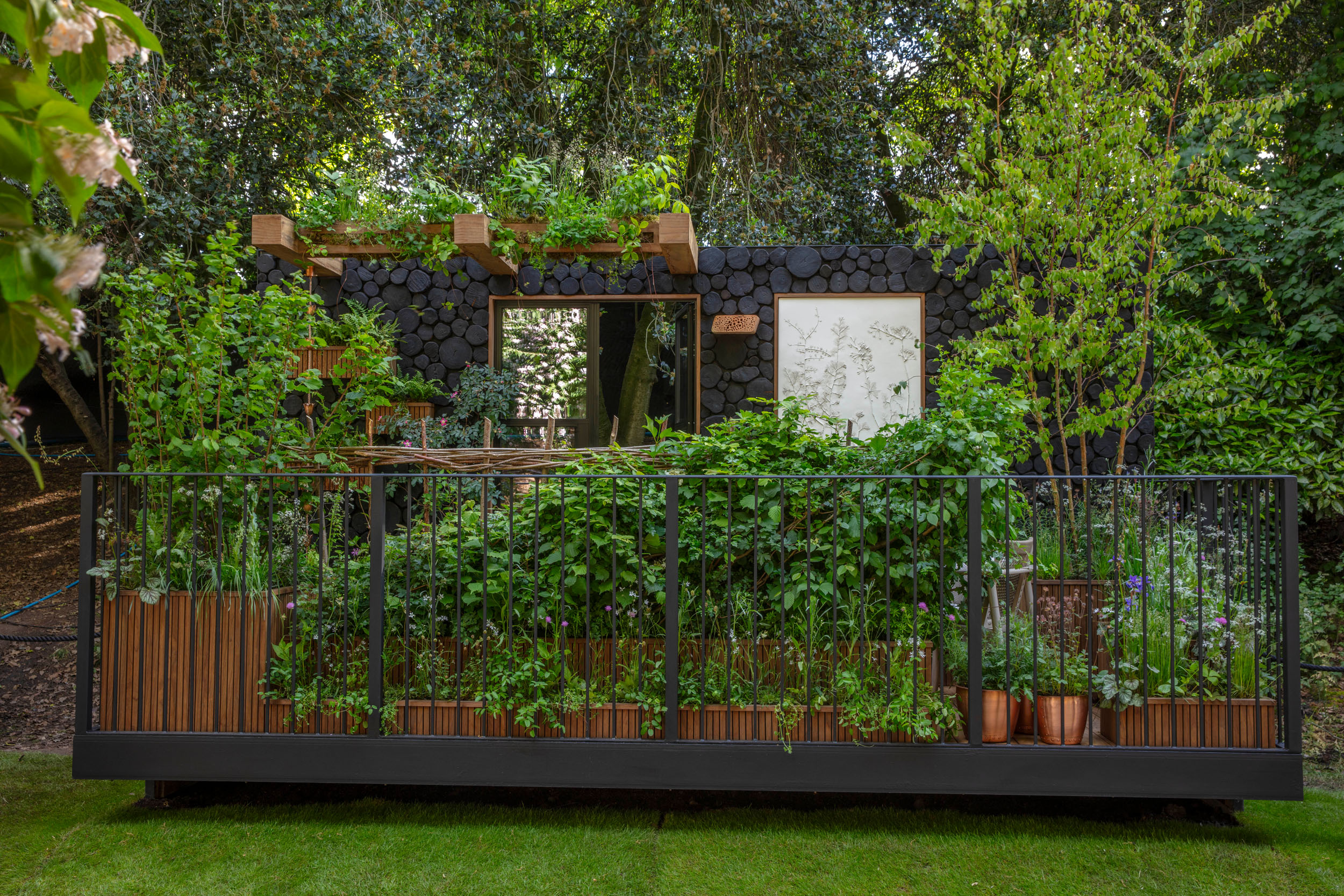 Hedgerow in the Sky &amp;ndash; Tech Mahindra &amp;mdash; balcony garden by Sarah Mayfield and Monika Greenhough at RHS Chelsea Flower Show 2026
