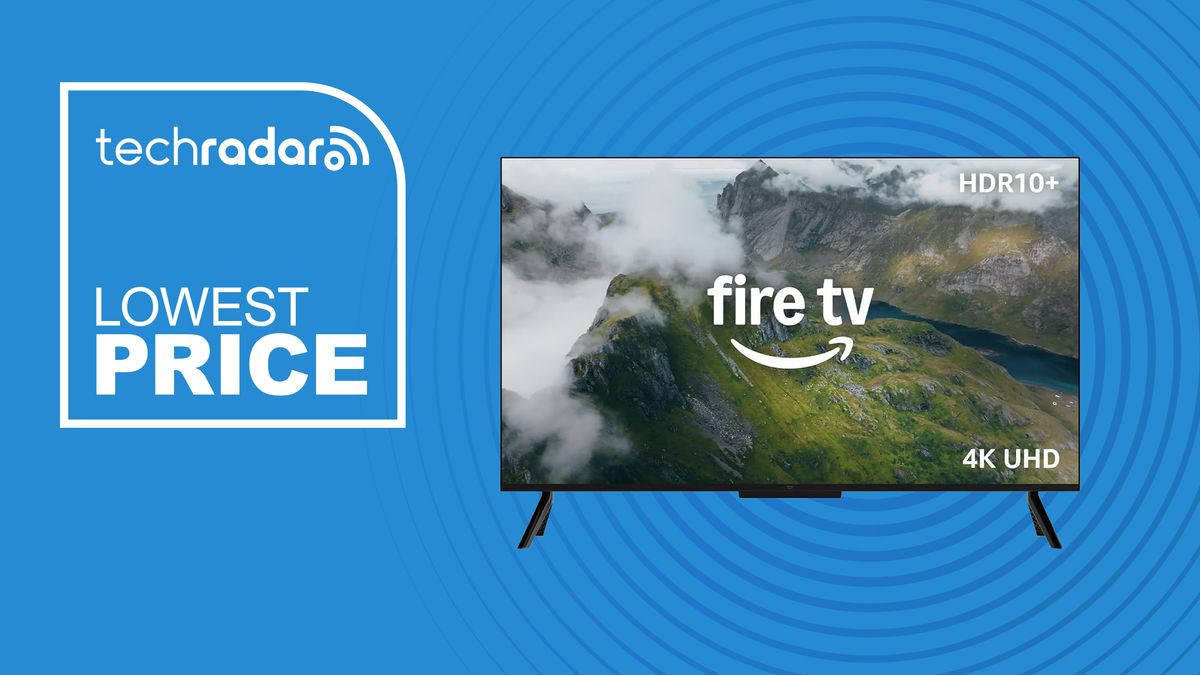This Fire TV offers all you need if you want a basic 4K TV for under $300