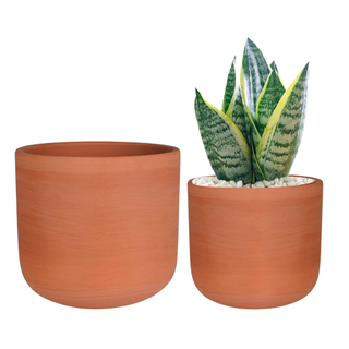 Terracotta Succulent Planter Pots