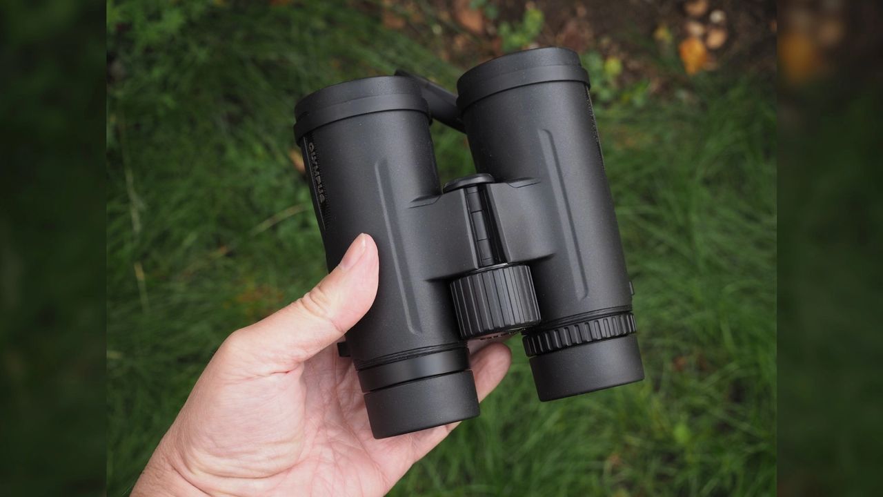 Olympus 8x42 Pro binoculars in the hand