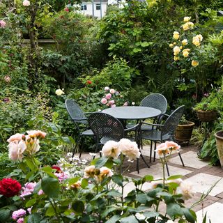 garden with flowering plant and round table