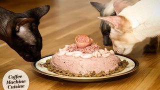 cat birthday cake being eaten by three cats