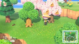 Animal Crossing New Horizons Money Tree