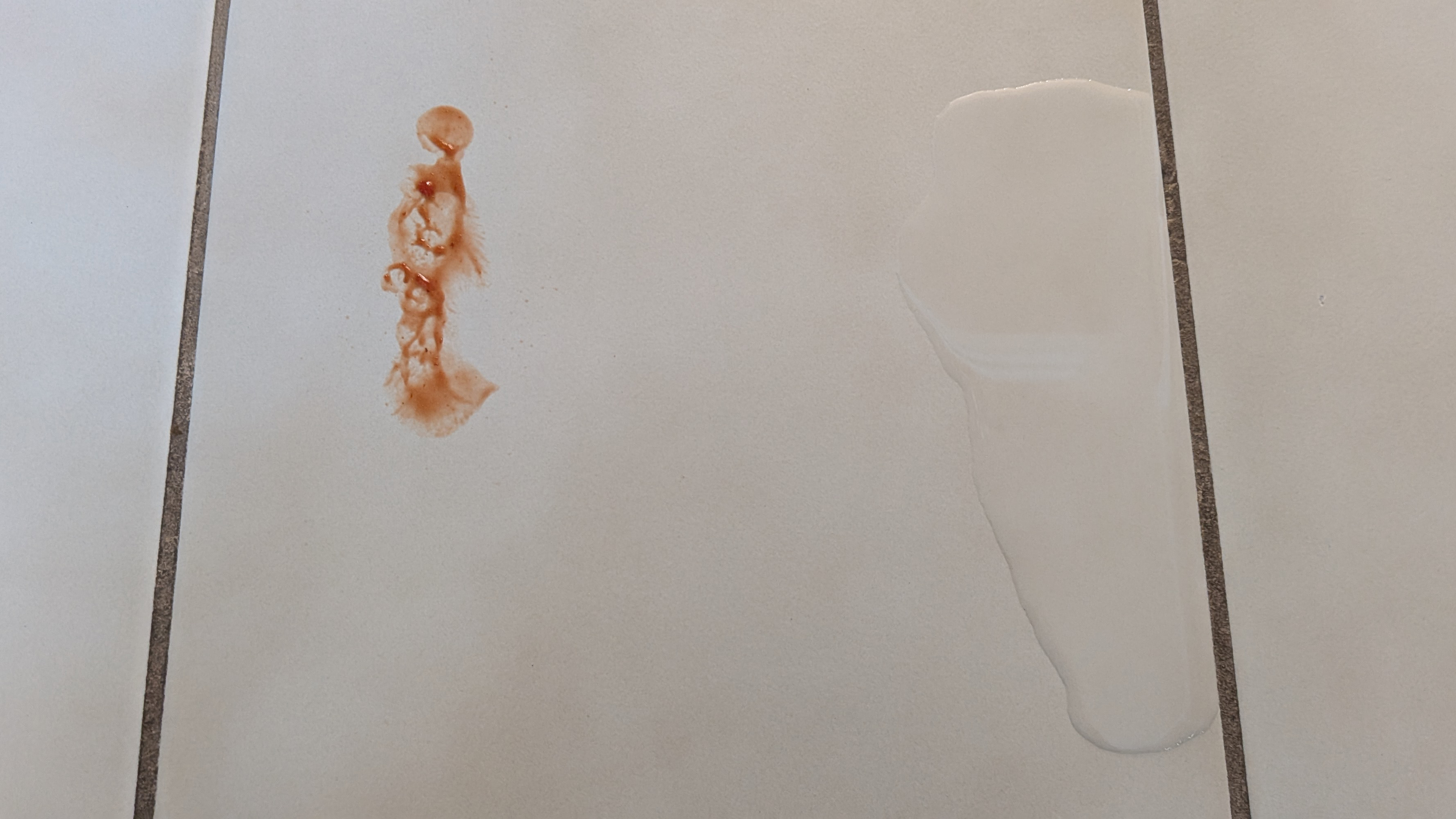 Ketchup smear and water spillage on tiled floor before the mopping test