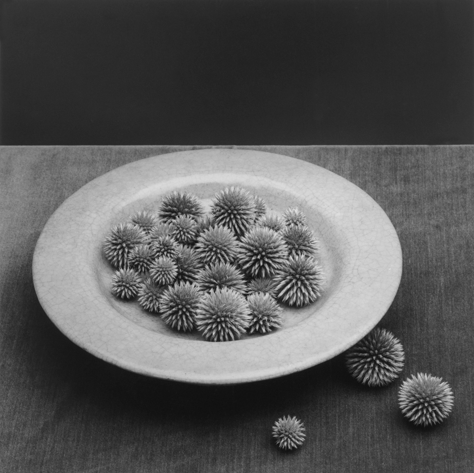 white plate with grey surface
