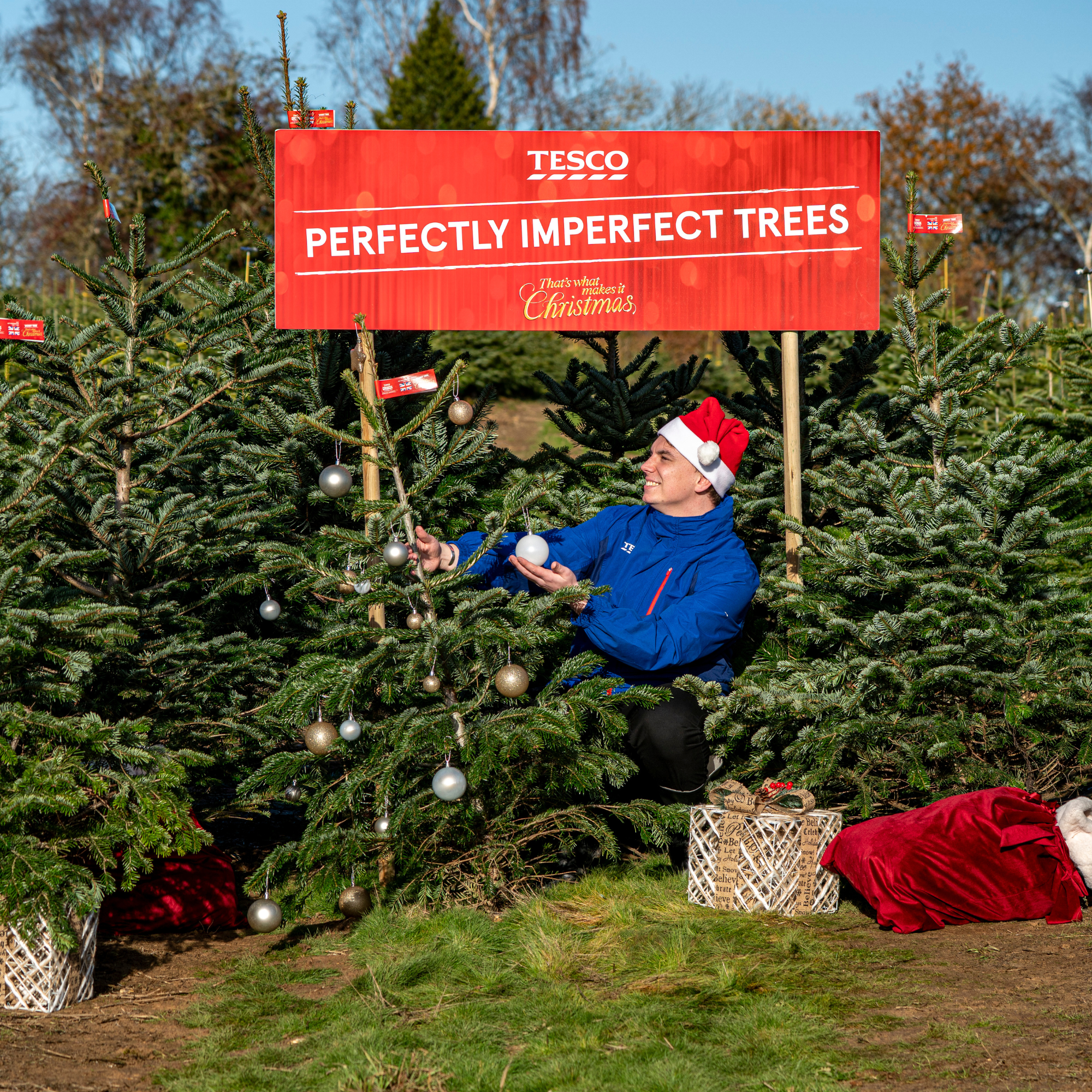 A Tesco worker posing with a Tesco wonky christmas tree.