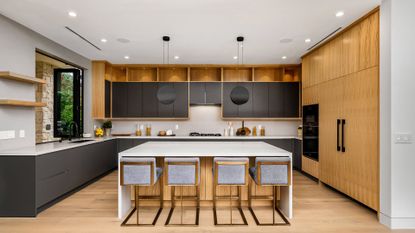 Flexson in-ceiling Sonos speaker mount 