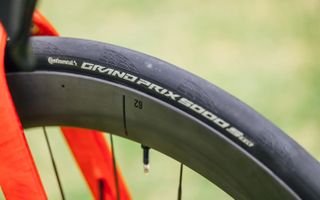 The Tour Down Under 2026 has all the latest cycling tech, but pro teams are still using this tyre &ndash; You can save up to 42% and see why for yourself