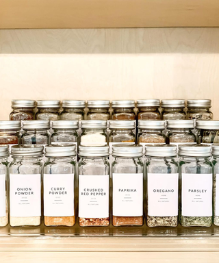A neatly arranged row of spices