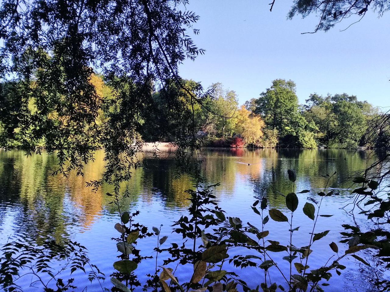 Not bad for a tablet camera, right? You can take Facebook-worthy nature shots with the Tab 4 10 Plus.