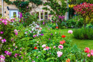 How to plan a cottage garden