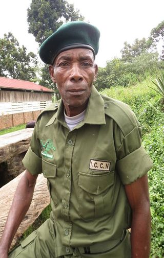 "As this op-ed was nearing completion, Oscar Mianziro, a dedicated wildlife ranger protecting Grauer's gorillas in Kahuzi-Biega National Park, was tragically killed by armed rebels in an ambush. We carry his memory always." - A.J. Plumptre.