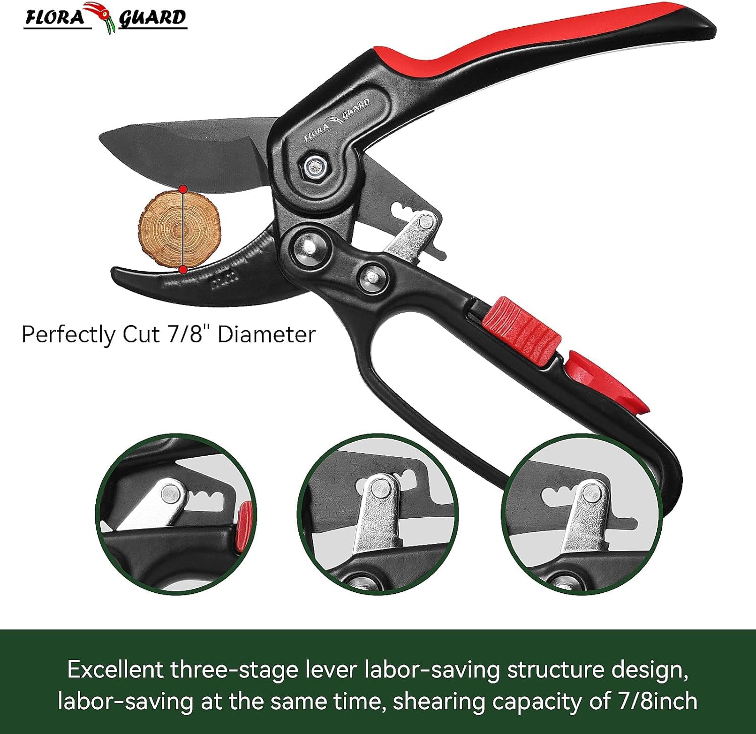 Flora Guard 8" Professional Ratchet Anvil Secateurs, Ratcheting Mechanism, Reinforced Design Handle, Gardening Secateurs, Anvil Garden Pruner : Amazon.co.uk: Garden