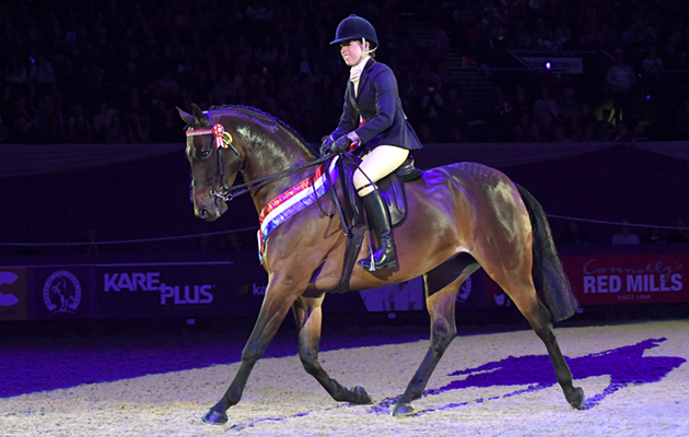 CARMENS-NOVELLO_HOYS_PN18_191269_238365622_378041721.jpg