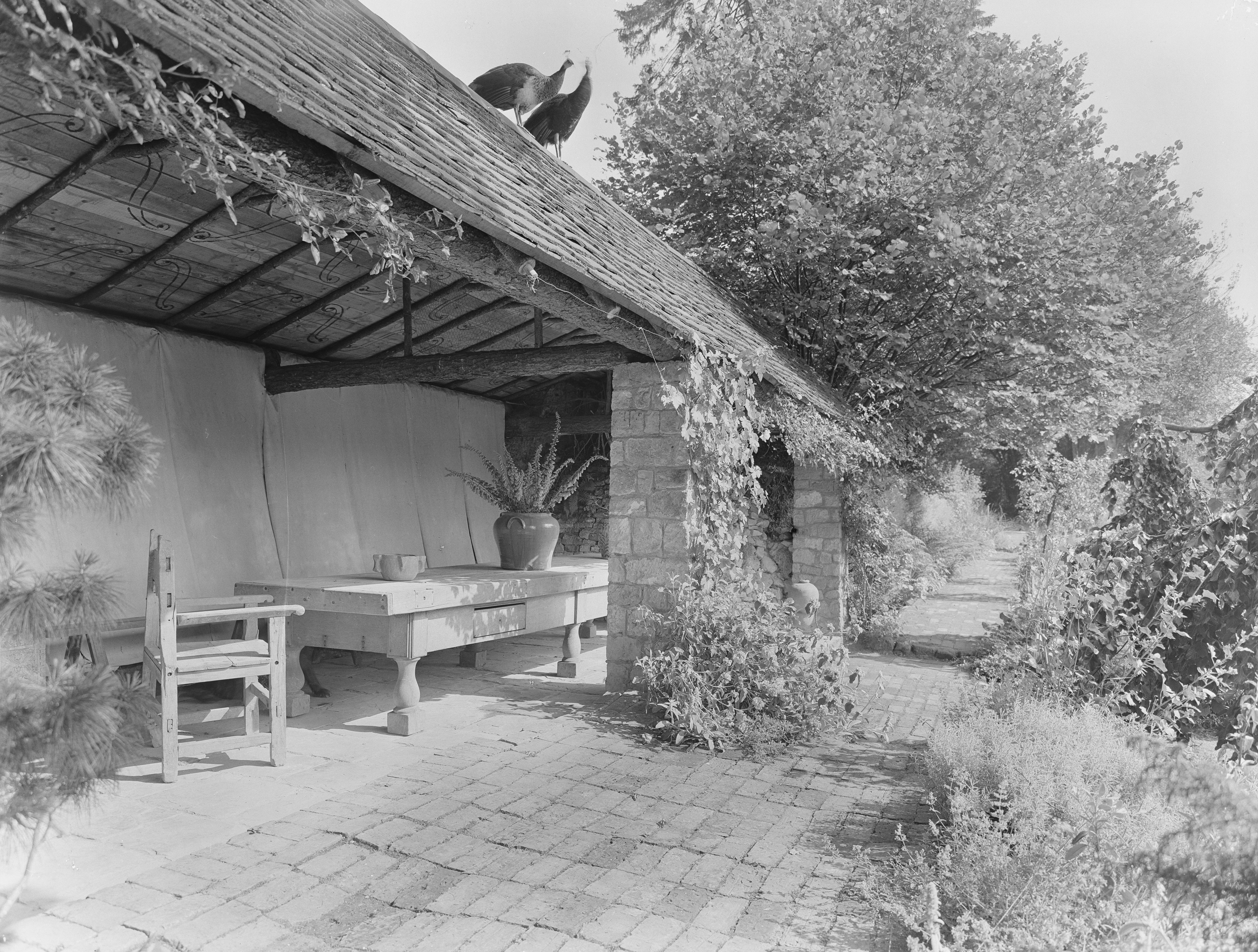 Images of Valewood Farm, with plenty of peacocks