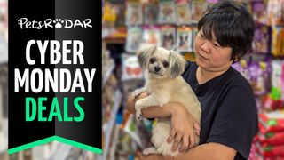 cyber monday pet deals