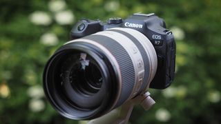 Canon EOS R7 sample
