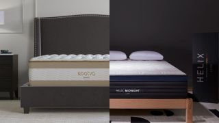 A split image of the Saatva RX on a bed frame, next to the Helix Midnight Luxe on a wooden bed frame