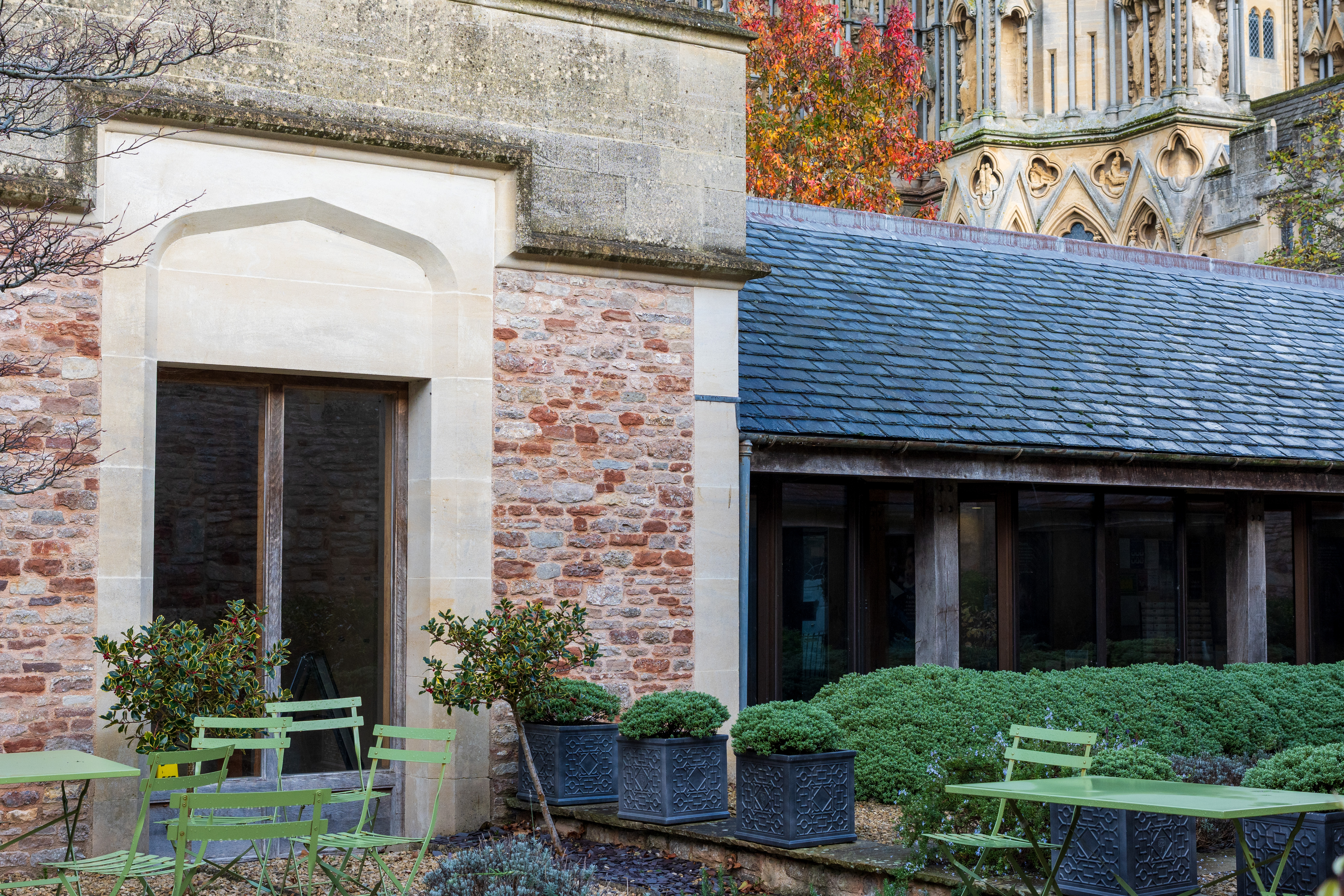 Nikon Z DX MC 35mm f/1.7 example shot