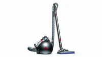 Dyson Cinetic Big Ball Animal
