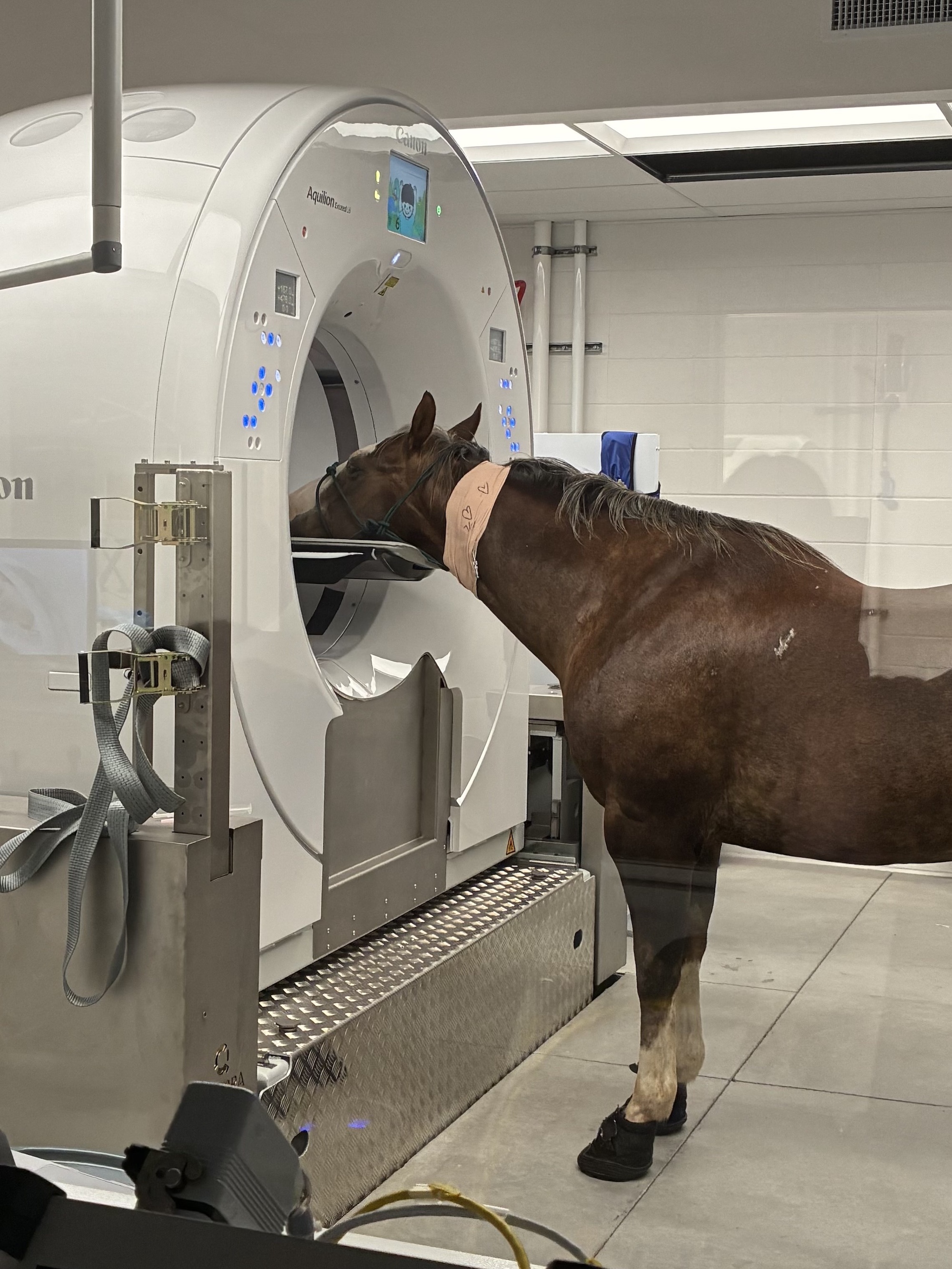 JJ-standing-ct.jpg