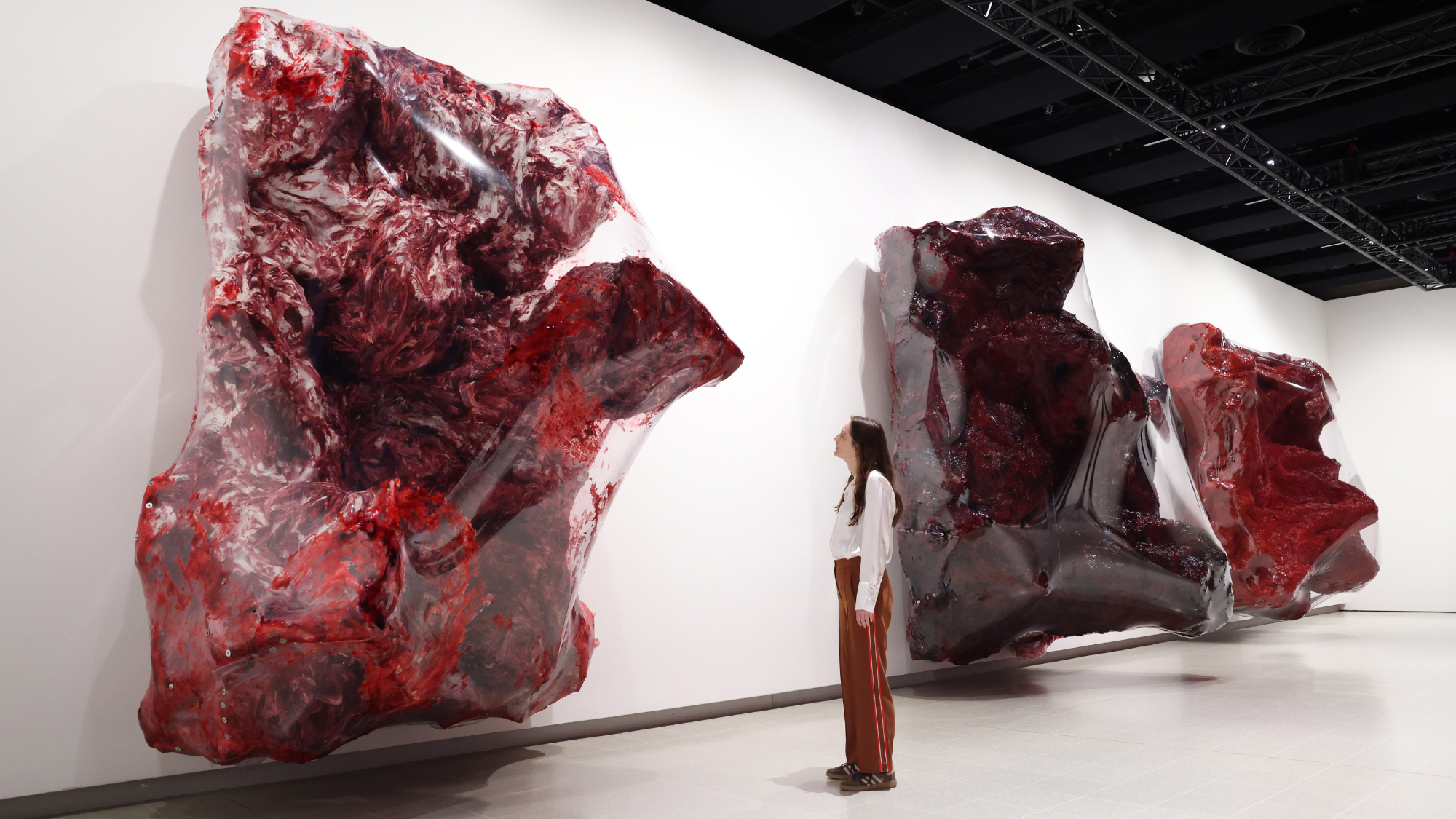 Plastic Sacrifice Anish Kapoor