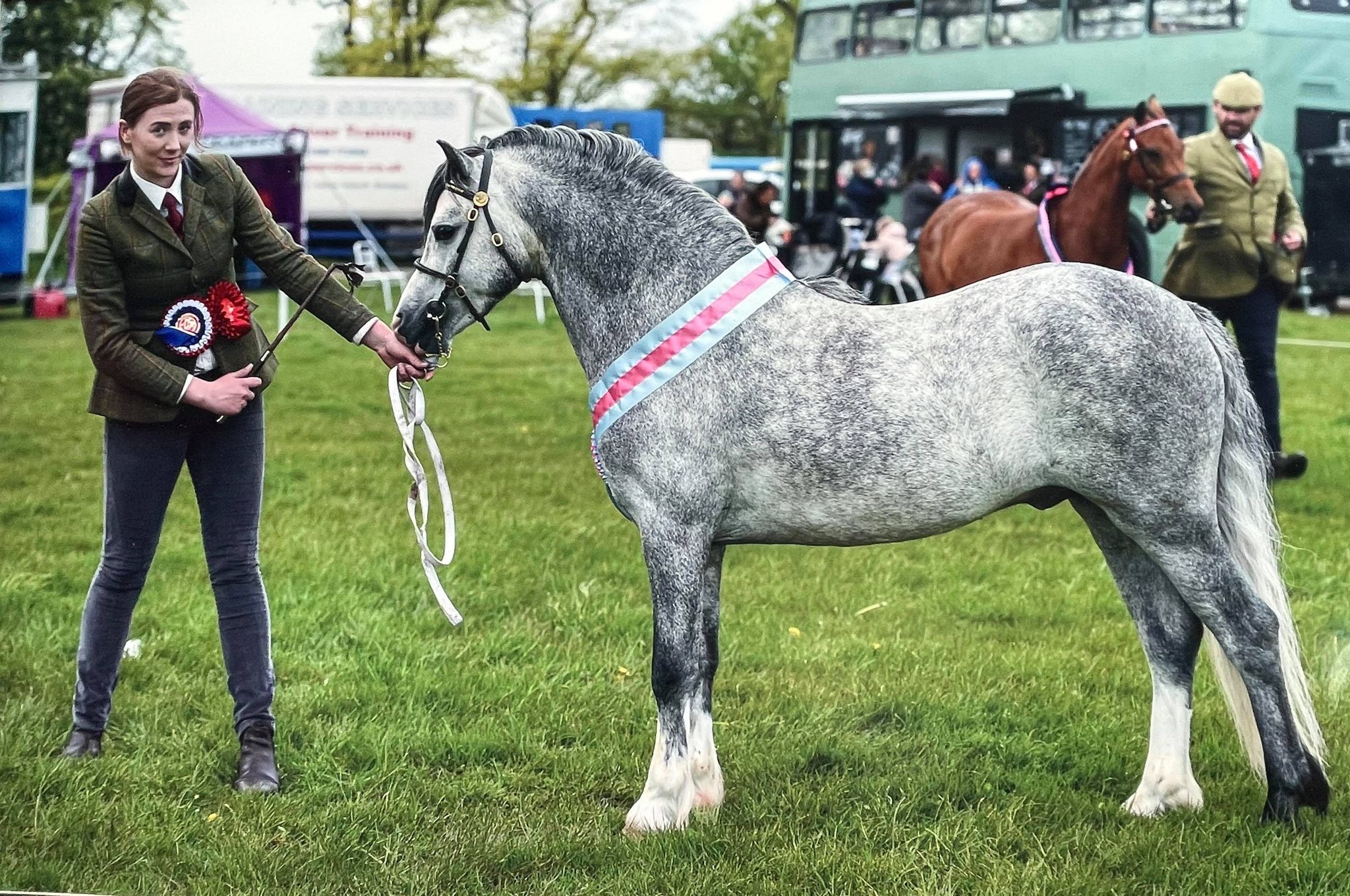 EquinePix.jpeg