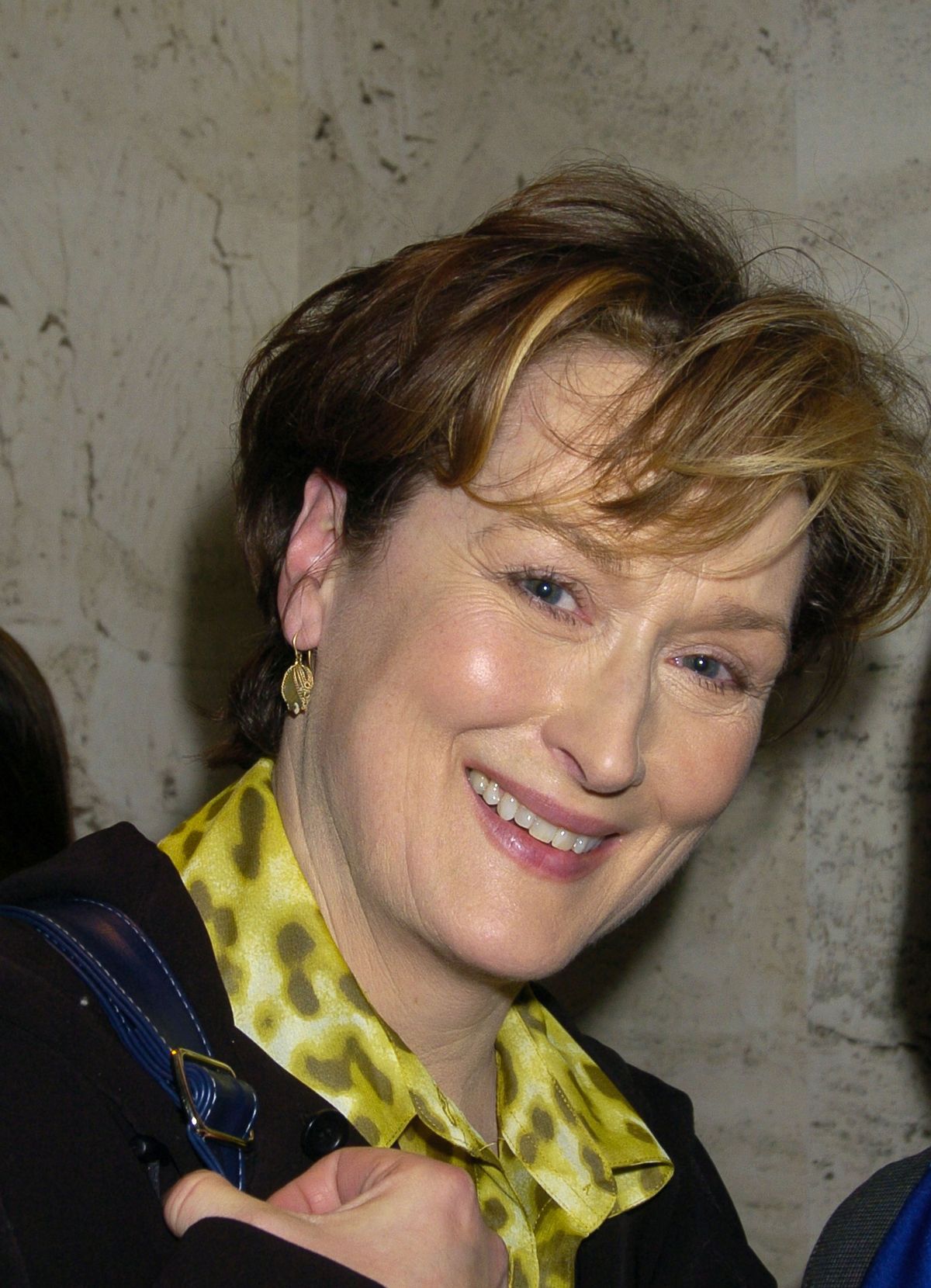 Meryl Streep during the 2003 New York Magazine Awards