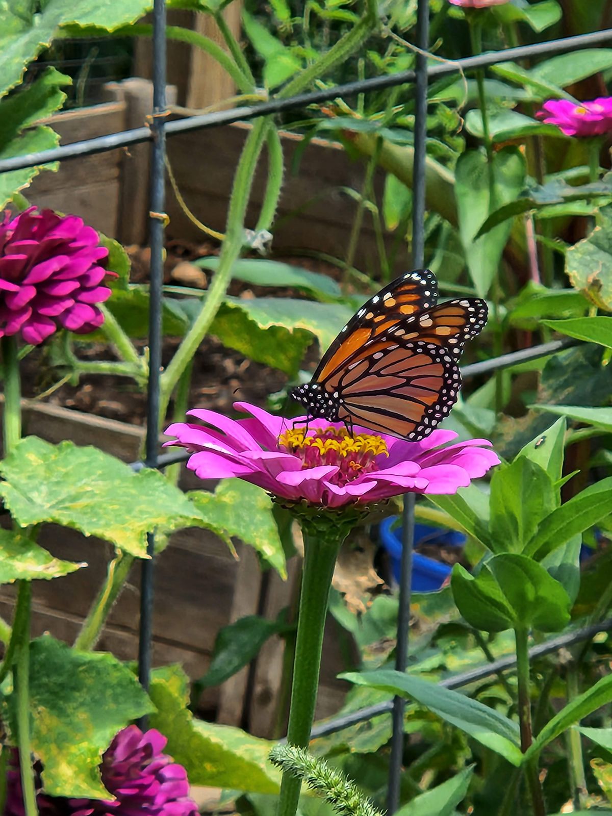 10x zoom camera samples from the Samsung Galaxy Z Fold 4