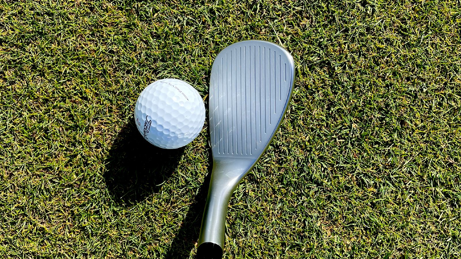 Cobra Snakebite Wedge Review