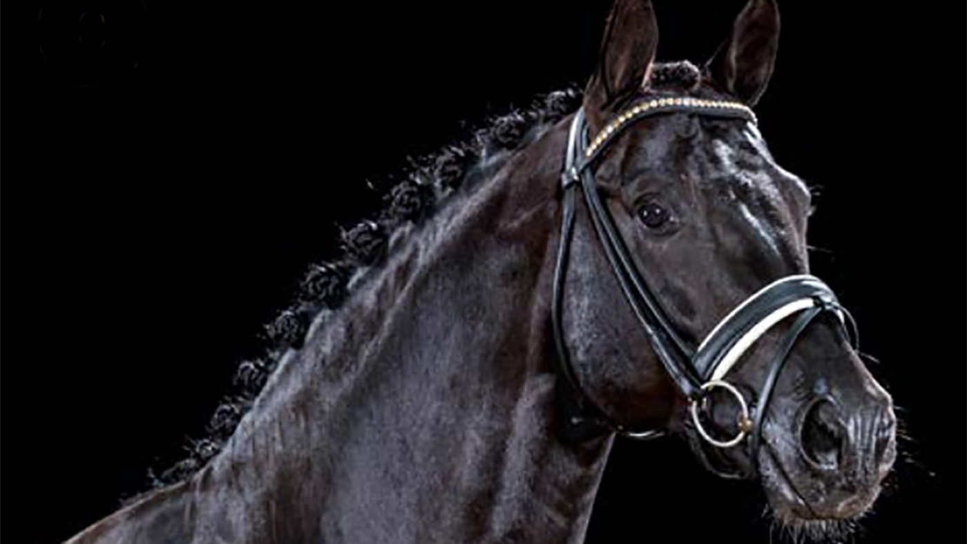 glock's toto jr freestlye with Edward Gal was a revival of Totilas&amp;rsquo;s freestyle