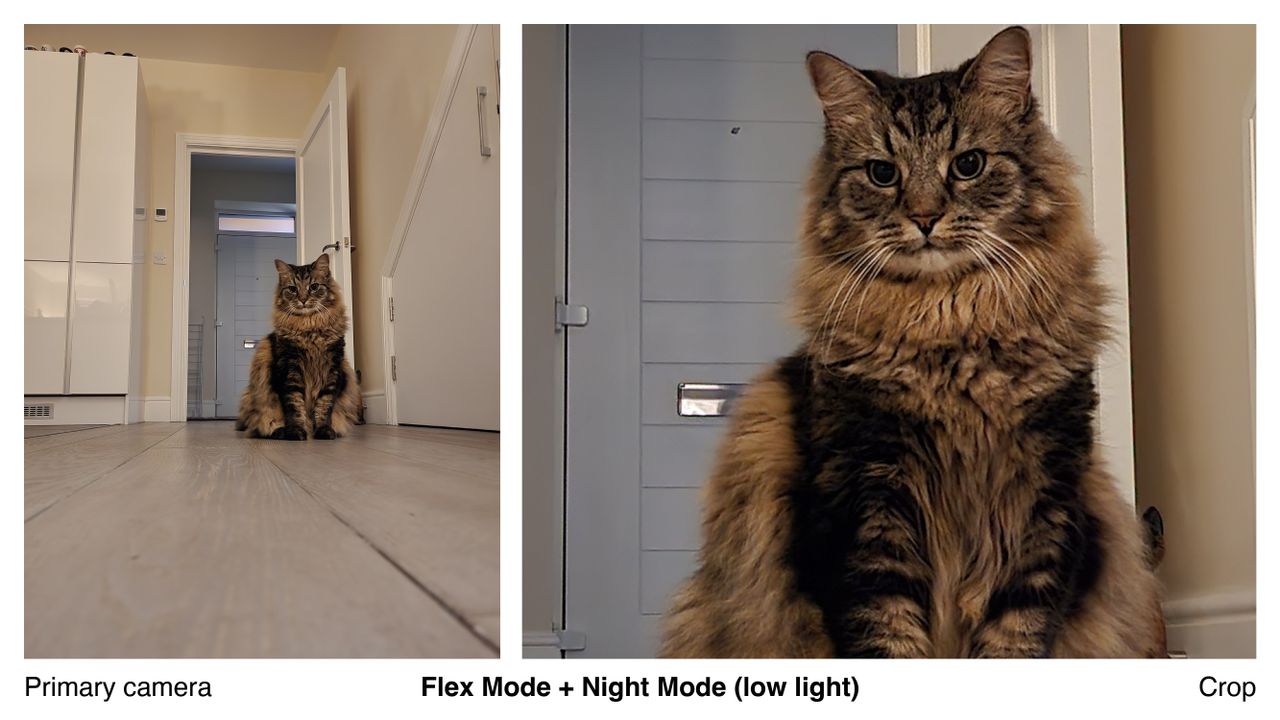 A photo captured on the Samsung Galaxy Z Flip 4