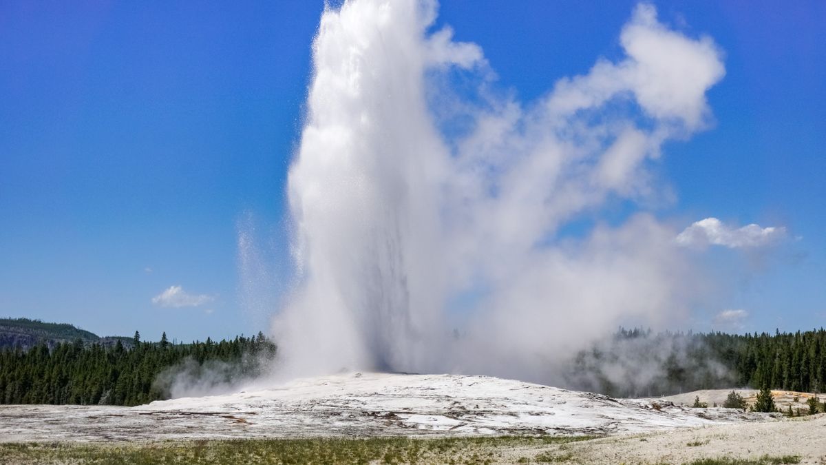 Clueless Yellowstone tourist learns why you shouldn't go peering into ...