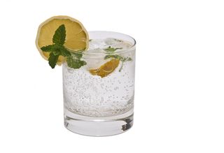 A gin and tonic, with lemon