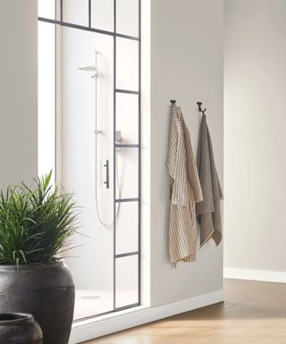 A beige-toned bathroom with a walk-in shower, a plant, and robes hanging on the wall