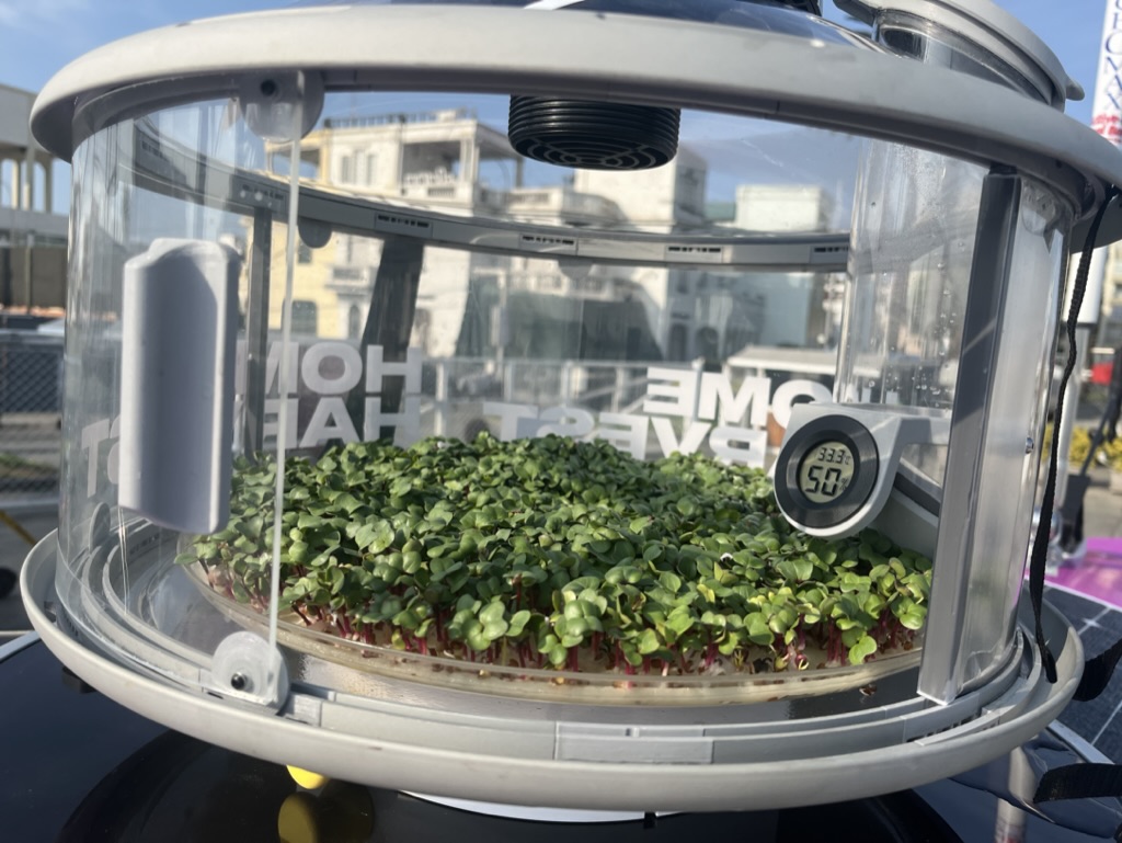 Salad on a boat in a machine