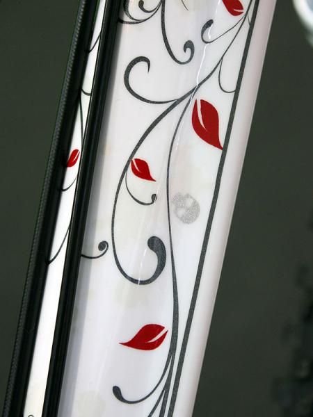Cannondale offers its RZ120 in a women's version, too - but this is no ride-around-the-park machine as evidenced by the subtly aggressive paint scheme. Check out the silver skulls - with their heart-shaped eyes.
