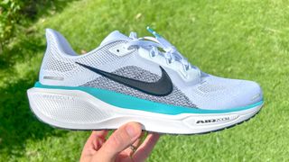 Nike Pegasus 41 running shoes