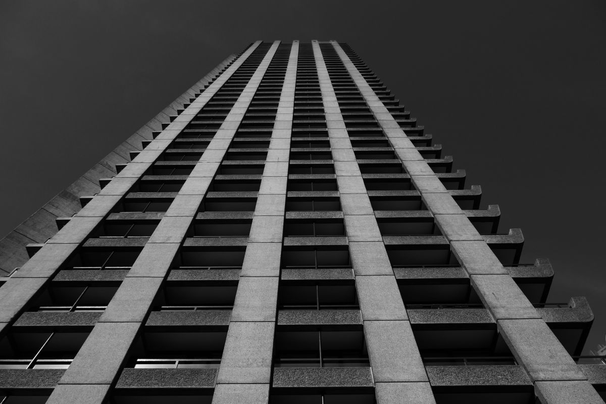 The L. Monochrome Photo Style delivers some nice black and white results