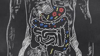 probiotics-gut-health