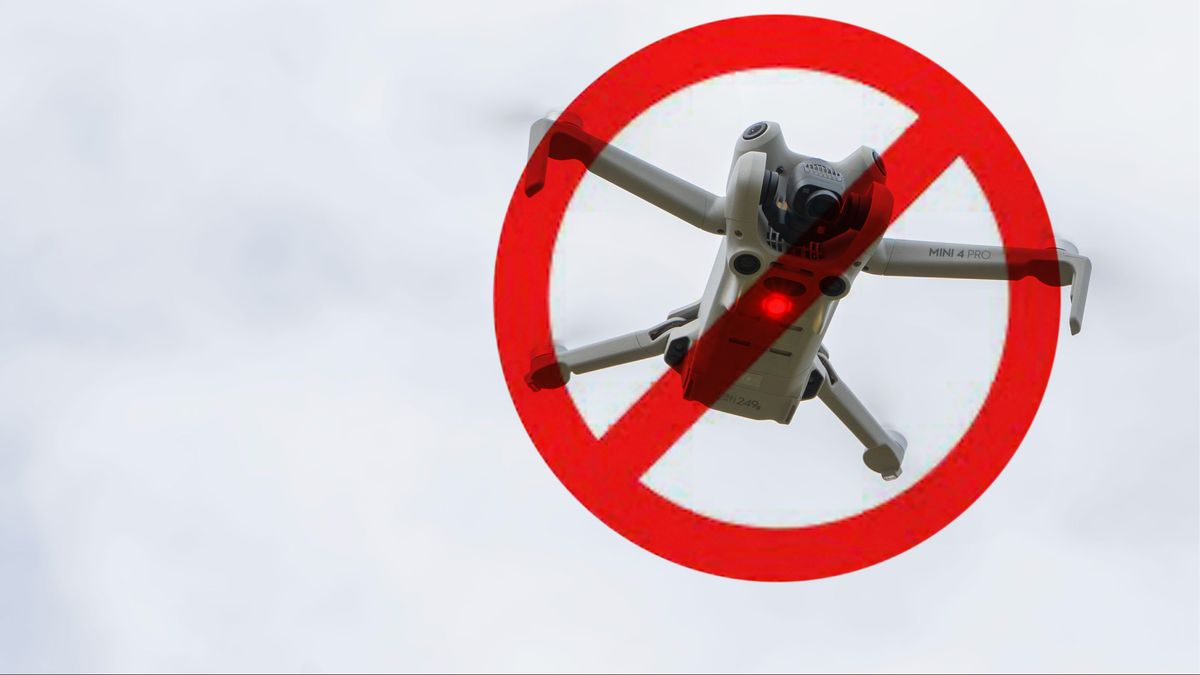 FAA Ban because of Remote ID