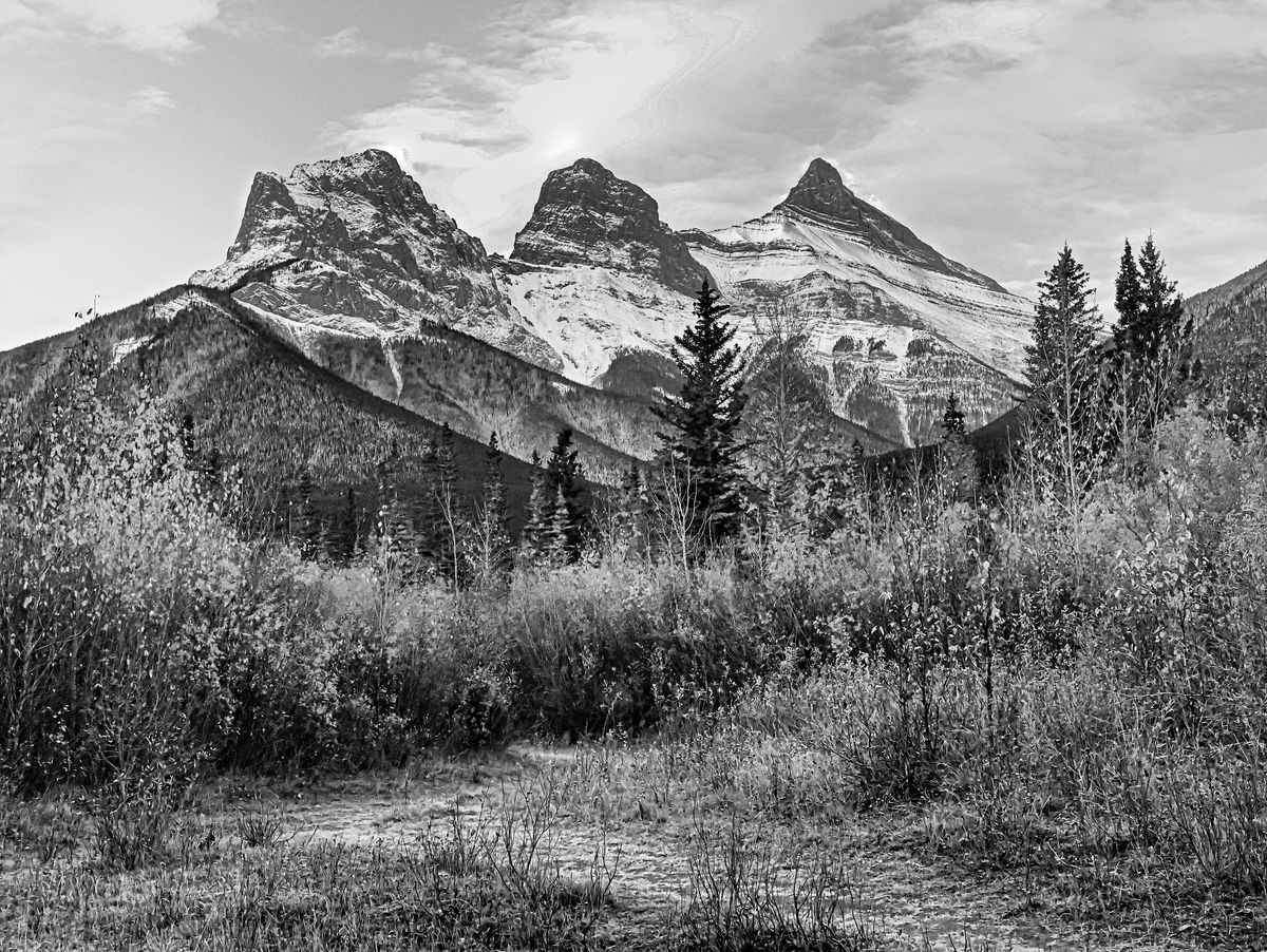 GuruShots - Monochrome Moments Jan 26