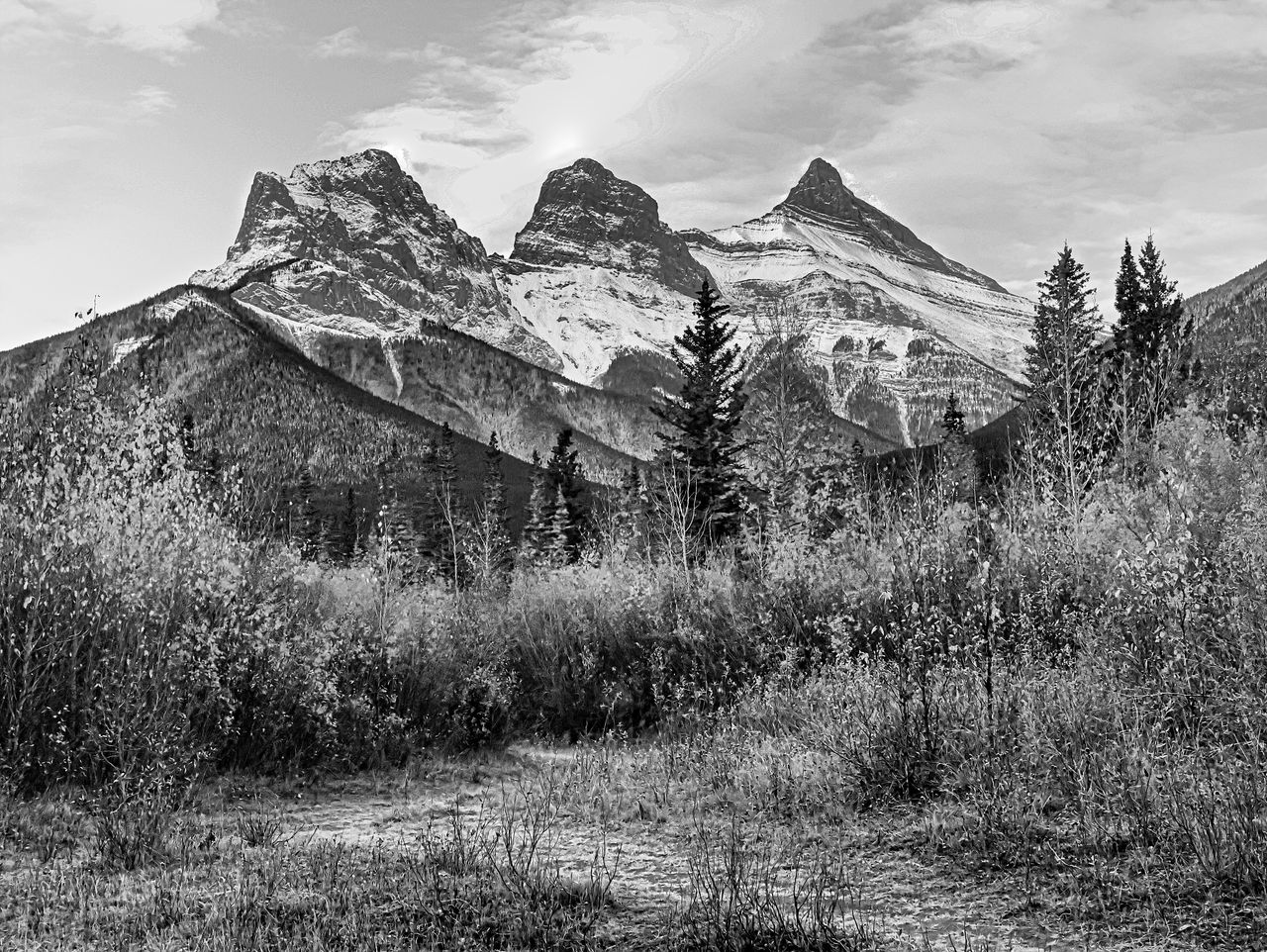 GuruShots - Monochrome Moments Jan 26