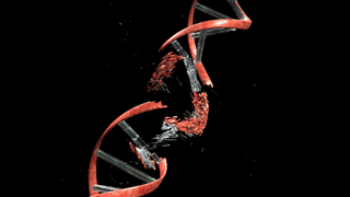 Conceptual illustration to show DNA damage. DNA string against black with clipping path.