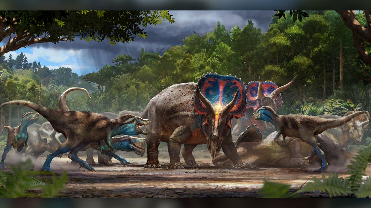 Combat of Giants: Dinosaurs 3D Velociraptor Tyrannosaurus