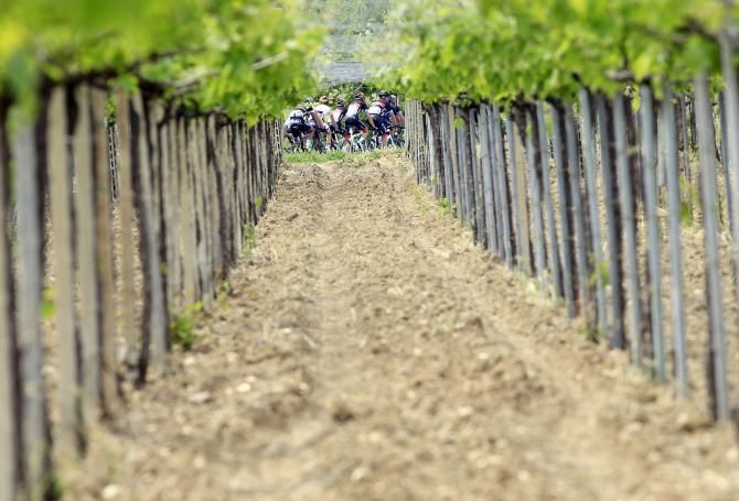 Catching a glimpse of the peloton through the orchards, during the Giro d'Italia