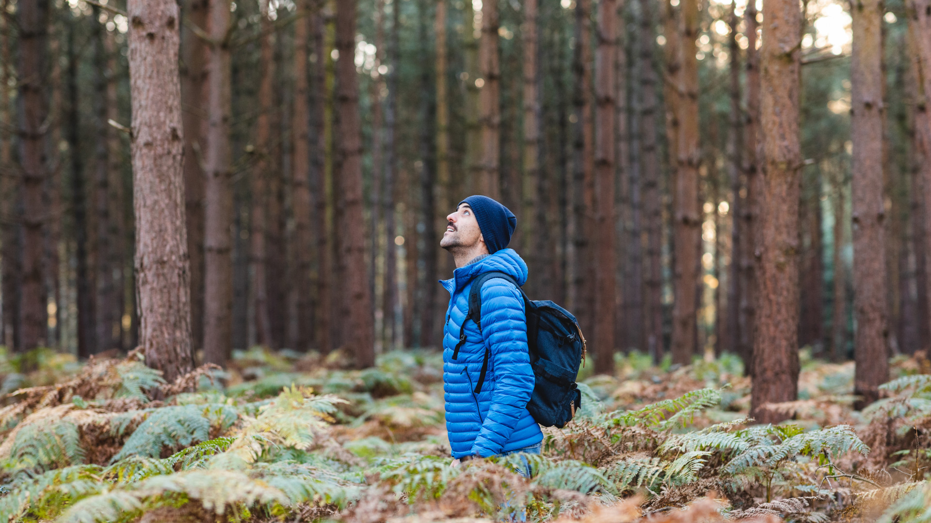 A man land snorkelling through a forest