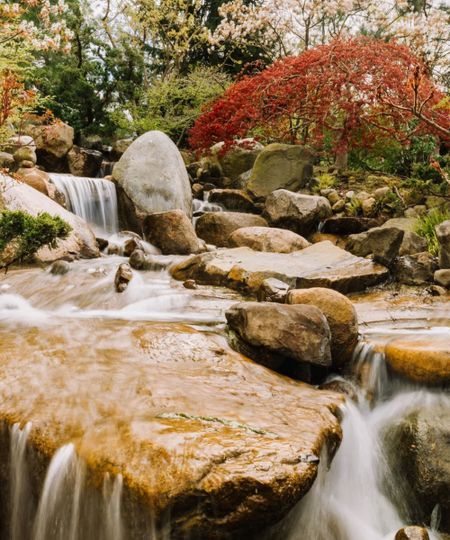 Waterfall with trees and rocks