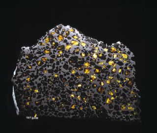 An image of the Esquel meteorite, a pallasite that consists of gem-quality cystals embedded in metal.
