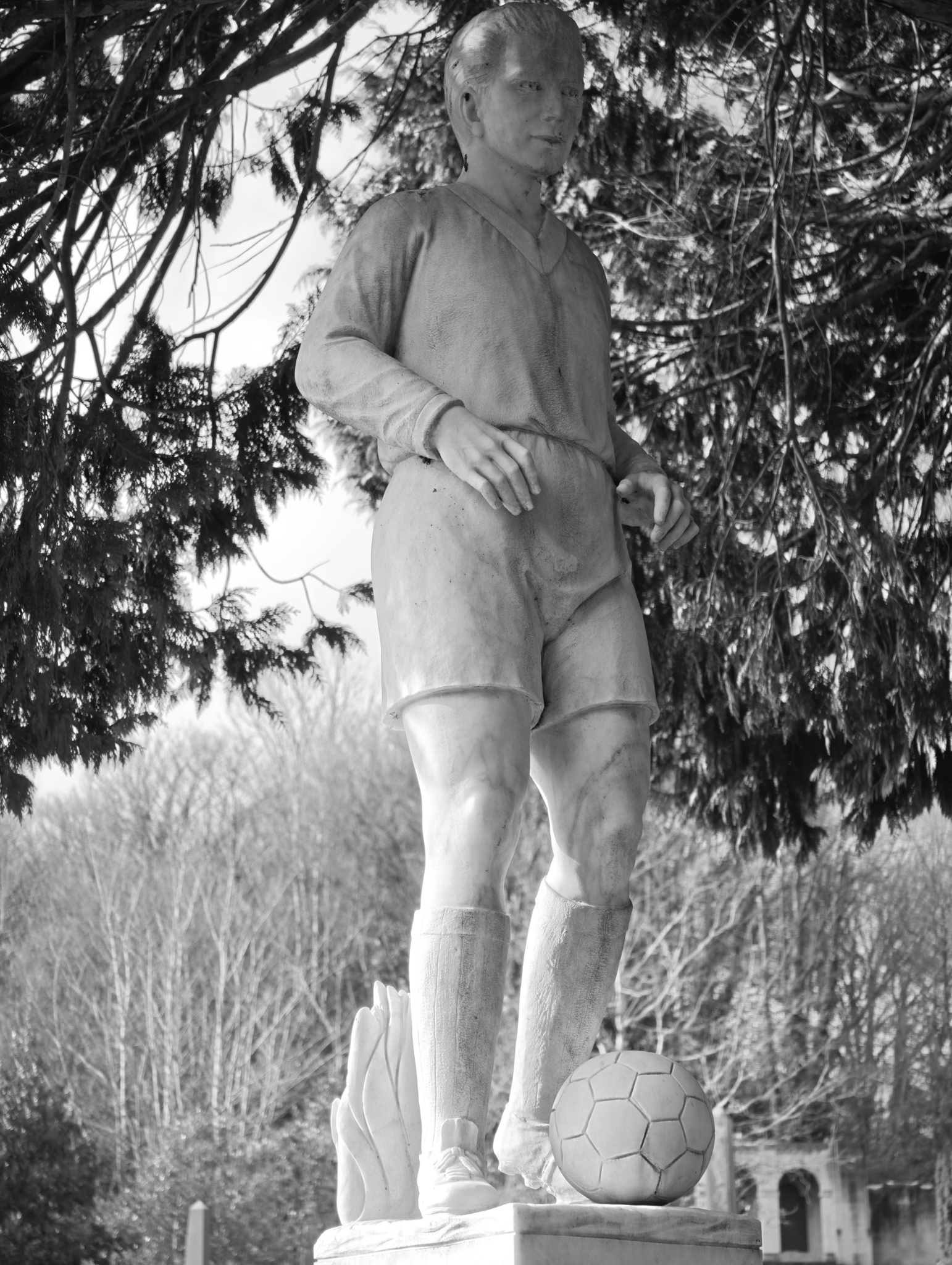 A photo taken on a Leica Leitzphone 200MP smartphone camera